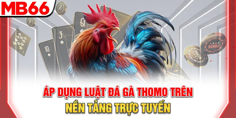 Áp dụng luật đá gà Thomo trên nền tảng trực tuyến
