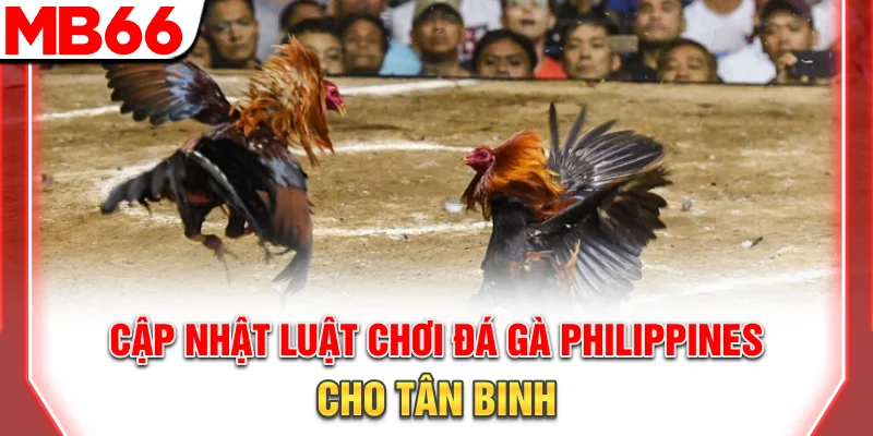 Cập nhật luật chơi đá gà Philippines cho tân binh