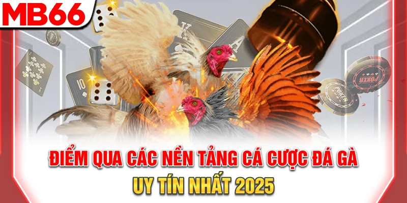 Điểm qua các nền tảng cá cược đá gà uy tín nhất 2025