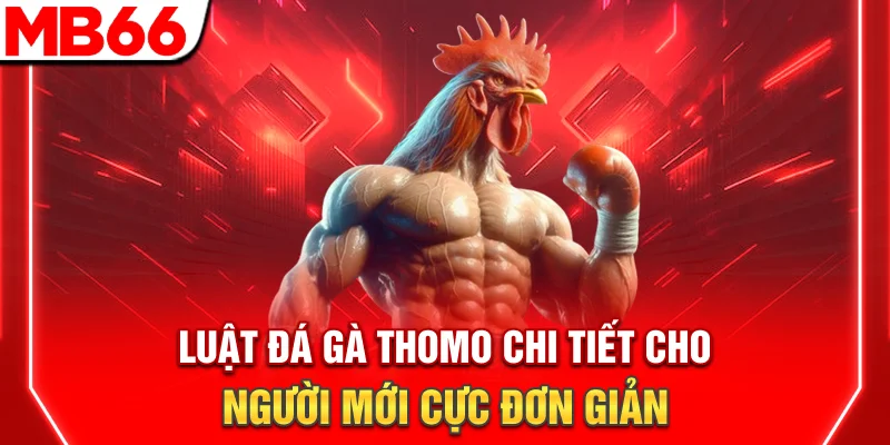 Luật Đá Gà Thomo Chi Tiết Cho Người Mới Cực Đơn Giản
