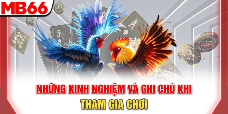 Những kinh nghiệm và ghi chú khi tham gia chơi