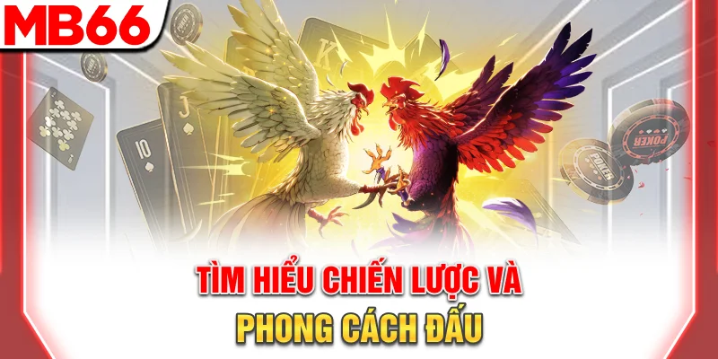 Tìm hiểu chiến lược và phong cách đấu